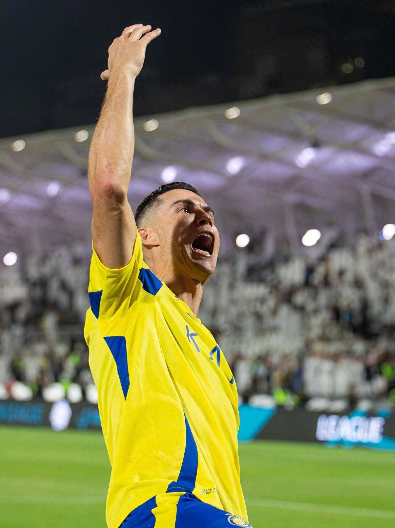 藍軍的重建 藍軍的重建